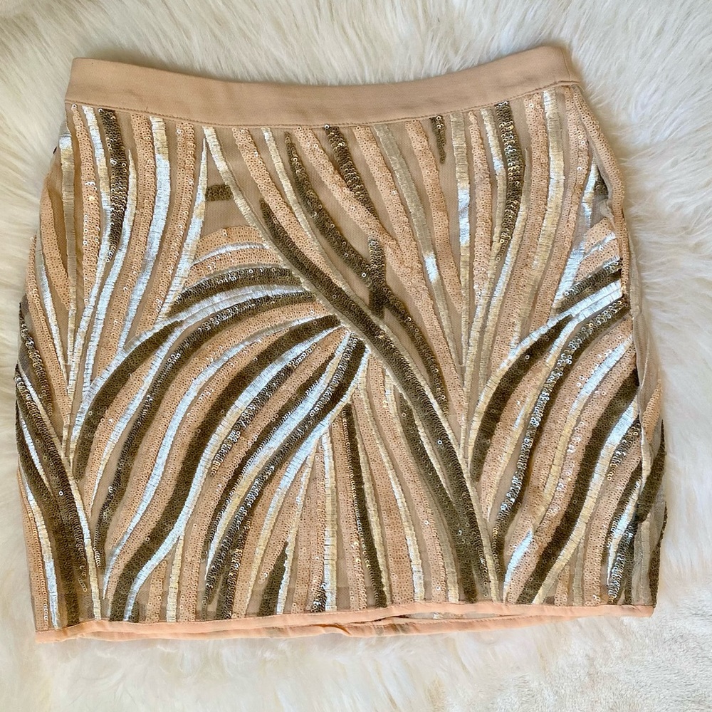 Endless Rose Sequin Mini Skirt